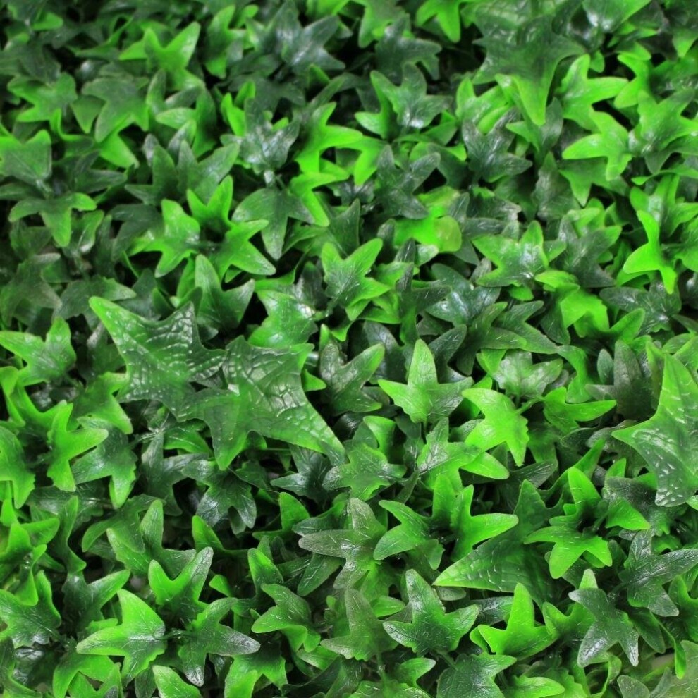 Ivy Hedging Mat - 50cm x 50cm - image 5