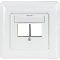 White LogiLink Keystone Faceplate with two module slots and a straight outlet design.