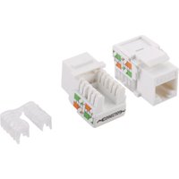 White LogiLink RJ-45 socket-outlet with colored wiring labels and detachable clip.
