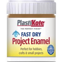 PlastiKote Fast Dry Enamel Paint, Nut Brown, 59ml bottle with white screw cap and blue label accents.