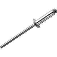 Silver Rapid High Performance Rivet with a smooth cylindrical body and a flat head.