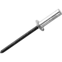 Rapid Waterproof Pop Rivet, silver cylindrical head with a long black stem.
