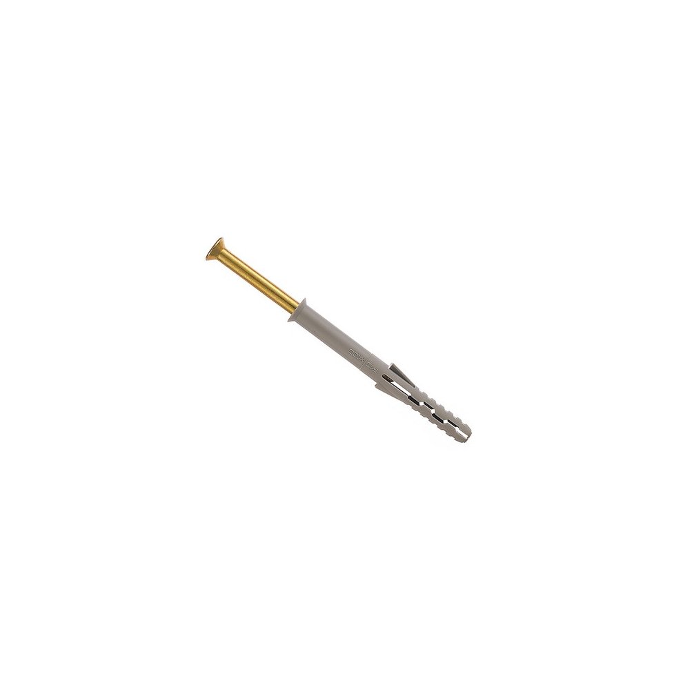 Rawlplug R-S1-FF-10100/4 frame fixings in a pack of four, featuring gray plastic anchors and gold-colored screws, each measuring 10 x 100mm.