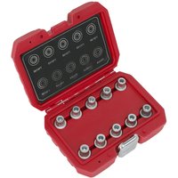 Red Sealey 10 piece locking wheel nut key set for BMW and Mini, in a red hard case with labeled slots.