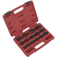 Red plastic case with 15 black crow foot spanners, arranged in slots, Sealey branding on the case.