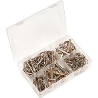 Clear plastic box containing assorted silver and brass linch pins in various sizes, organized in compartments.