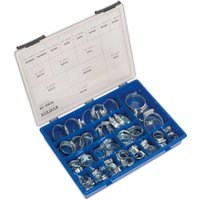 Sealey 81 piece hose clip assortment in a blue plastic case with various sizes of silver metal clips.