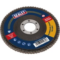 Sealey Aluminium Abrasive Flap Disc with blue and red label, metal center, and layered abrasive edges.