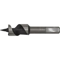 Sealey AW20x100 auger wood drill, 20mm diameter, 100mm length, silver and black with spiral flutes and hex shank.