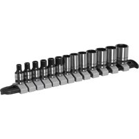 Sealey Black Series 13 Piece 1/4" Drive Hexagon Socket Set with sleek black and silver sockets on a black rail.