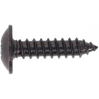 Black flanged head self-tapping screw, 4.8 x 19mm, Pozi drive, pack of 100 by Sealey.