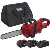 Red Sealey cordless chainsaw with 250mm blade, black handle, two batteries, charger, and black carrying case.