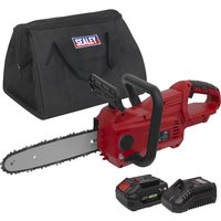 Red Sealey cordless chainsaw with 25cm blade, black handle, 20V 4Ah battery, charger, and black carrying case.