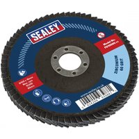 Sealey FD10060 flap disc, zirconium, 100mm diameter, 16mm bore, 60 grit, blue label with red Sealey logo.