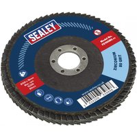 Sealey FD10080 flap disc, zirconium, 100mm diameter, 16mm bore, 80 grit, black with red and blue label.