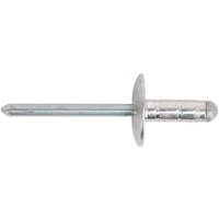 "Sealey large flange multi grip aluminium rivet, silver with a long stem and wide circular flange"