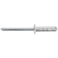 "Silver Sealey Multi Grip Aluminium Rivet with cylindrical shaft and round head"