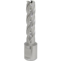 Silver Sealey Rotabor Cutter HSS, 13mm diameter, 50mm cut depth, spiral flutes, cylindrical shank.