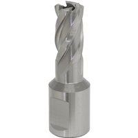 Sealey RBHSS13S Rotabor Cutter, silver HSS steel, spiral flutes, 13mm diameter, 25mm cut depth.