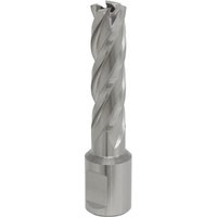 Sealey RBHSS14L Rotabor Cutter, silver HSS steel, 14mm diameter, spiral flutes, 50mm cut depth, cylindrical shank.