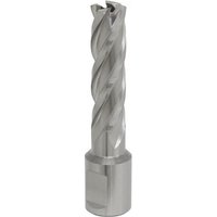 Sealey RBHSS15L Rotabor Cutter, silver, cylindrical with spiral flutes, 15mm diameter, 50mm cut depth.