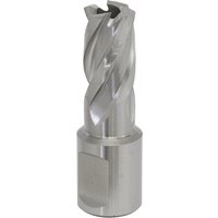 Sealey RBHSS15S Rotabor Cutter, silver, spiral fluted design, 15mm diameter, 25mm cut depth, cylindrical shank.
