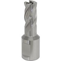 Silver Sealey Rotabor Cutter HSS with spiral flutes, 16mm diameter, 25mm cut depth, cylindrical shank.