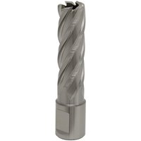 Sealey RBHSS17L Rotabor Cutter, silver, spiral fluted design, 17mm diameter, 50mm cut depth, cylindrical shank.
