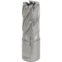 Sealey RBHSS17S Rotabor Cutter, silver HSS steel, 17mm diameter, 25mm cut depth, spiral flutes, cylindrical shank.
