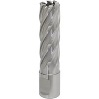 Sealey RBHSS18L Rotabor Cutter, silver HSS steel, 18mm diameter, spiral flutes, 50mm cut depth, cylindrical shank.