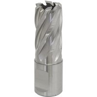 Silver Sealey Rotabor cutter with spiral flutes, 18mm diameter, 25mm cut depth, cylindrical shank.