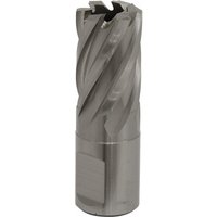 Sealey RBHSS19S Rotabor Cutter, silver, cylindrical with spiral flutes, 19mm diameter, 25mm cut depth.
