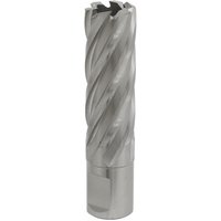 Silver Sealey Rotabor Cutter HSS with spiral flutes, 20mm diameter, 50mm cut depth, cylindrical body.