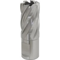Silver Sealey Rotabor Cutter HSS, 20mm diameter, 25mm cut depth, spiral flutes, cylindrical shank.
