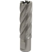 Silver Sealey Rotabor Cutter HSS Ø21mm with spiral flutes and 50mm cut depth.