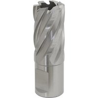 Sealey RBHSS21S Rotabor Cutter, silver, spiral fluted design, HSS, 21mm diameter, 25mm cut depth.