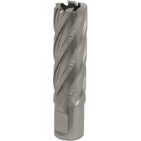 Sealey RBHSS22L Rotabor Cutter, silver with spiral flutes, 22mm diameter, 50mm cut depth, cylindrical shank.