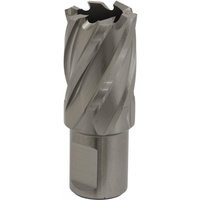 Silver Sealey Rotabor Cutter HSS Ø22mm with spiral flutes and cylindrical shank, cut depth 25mm.