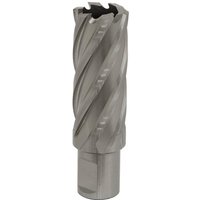Sealey RBHSS24L Rotabor Cutter, silver, cylindrical with spiral flutes, 24mm diameter, 50mm cut depth.