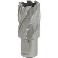Silver Sealey Rotabor Cutter HSS with spiral flutes, 24mm diameter, 25mm cut depth, cylindrical shank.