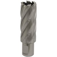 Sealey RBHSS25L Rotabor Cutter, silver with spiral flutes, 25mm diameter, 50mm cut depth, cylindrical shank.