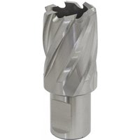 Sealey RBHSS25S Rotabor Cutter, silver HSS steel, 25mm diameter, spiral flutes, 25mm cut depth.