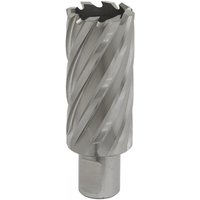 Sealey RBHSS29L Rotabor Cutter, silver with spiral flutes, 29mm diameter, 50mm cut depth, cylindrical shank.