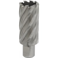 Sealey RBHSS30L Rotabor Cutter, silver with spiral flutes, 30mm diameter, 50mm cut depth, cylindrical shank.
