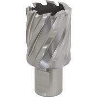 Sealey RBHSS30S Rotabor Cutter, silver HSS steel, 30mm diameter, 25mm cut depth, spiral flutes, cylindrical shank.