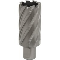 Sealey RBHSS33L Rotabor Cutter, silver with spiral flutes, 33mm diameter, 50mm cut depth, cylindrical shank.