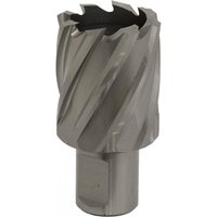 Sealey RBHSS33S Rotabor Cutter, silver with spiral flutes, 33mm diameter, 25mm cut depth, cylindrical shank.