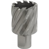 Sealey RBHSS34S Rotabor Cutter, silver, cylindrical with spiral flutes, 34mm diameter, 25mm cut depth.