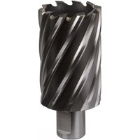 Sealey RBHSS40L Rotabor Cutter, silver with spiral flutes, 40mm diameter, 50mm cut depth, cylindrical shank.