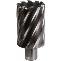 Sealey RBHSS42L Rotabor Cutter, silver with spiral flutes, 42mm diameter, 50mm cut depth, cylindrical shank.